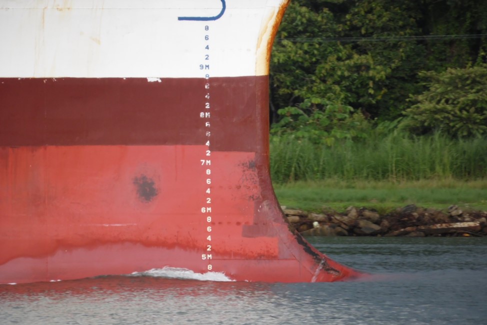 Glossary & Videos Glossaries Search